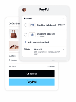 PayPal checkout options shown paying for a bag and shoes