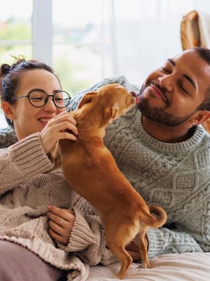 Two people cuddling and playing with a dog at home